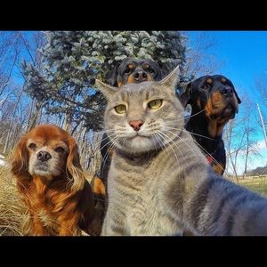 Meet your Posher, Claudio